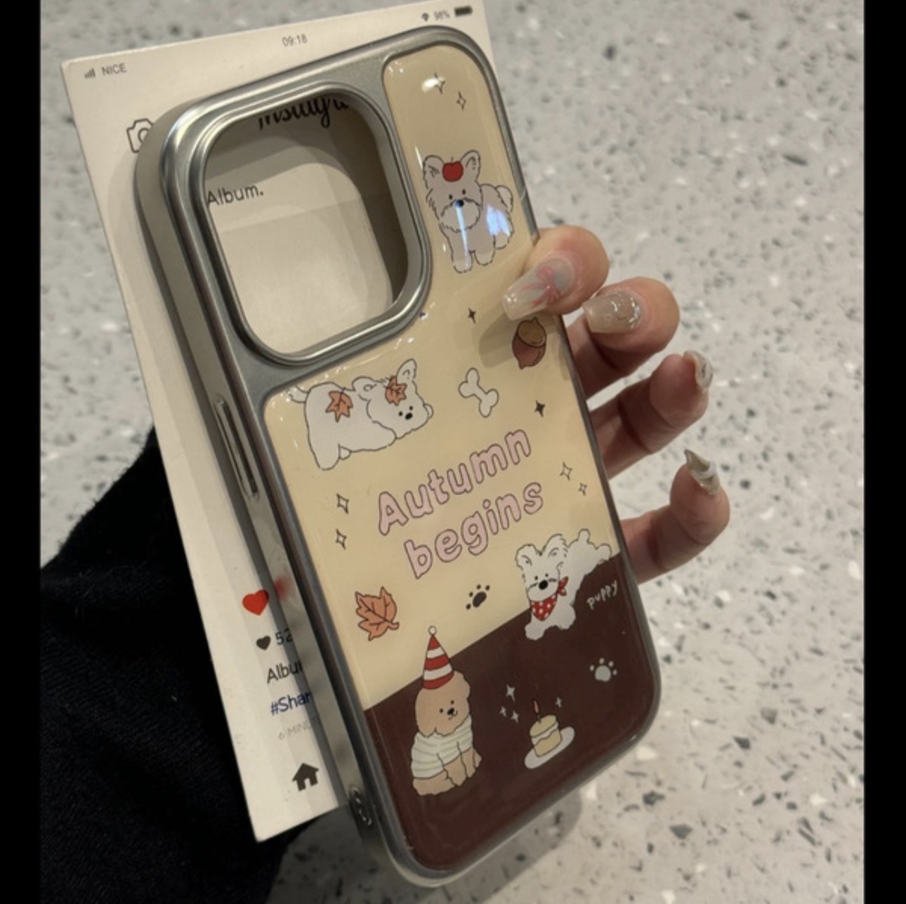Cake puppy. Autumn begins